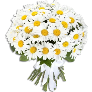 💐