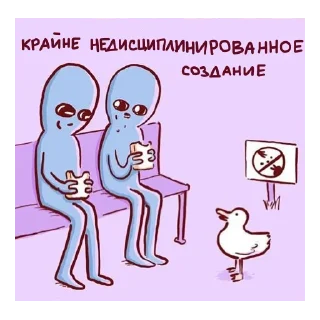 🦆