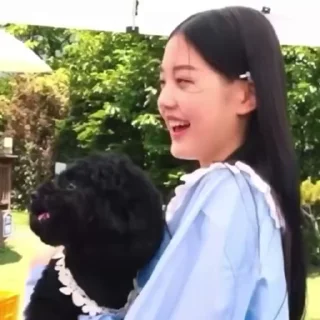 🐶