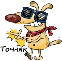 😎