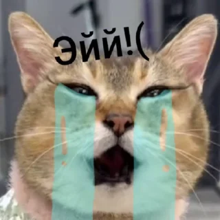 😭