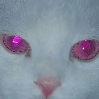 🪩