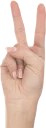 ✌