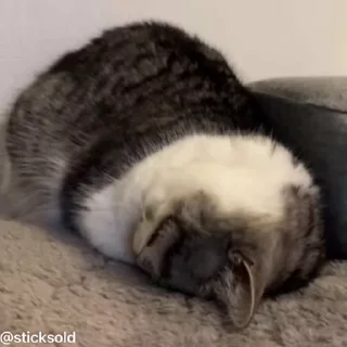 😂