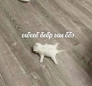 😭