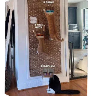 👍