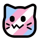 🏳️‍⚧️