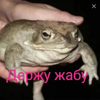 ☺️