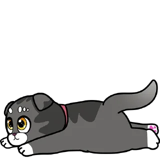 🐈