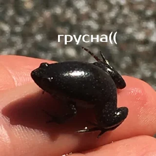 😞