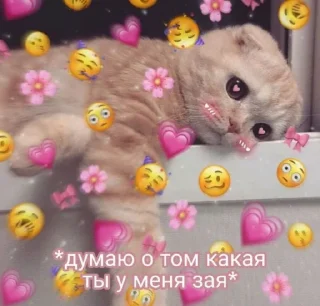 💗