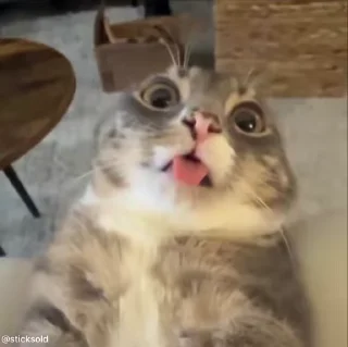 😳