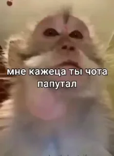 😒