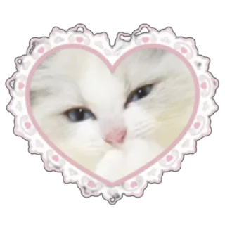 💗