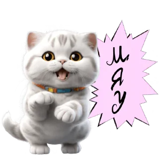 🐱