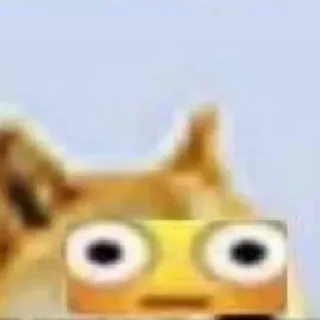 🐶