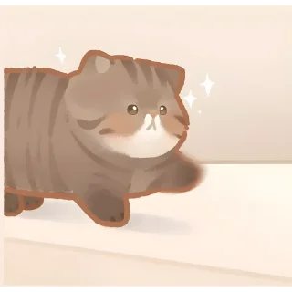✨