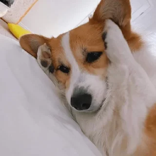 🙂