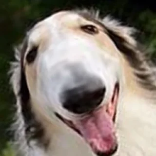 😂