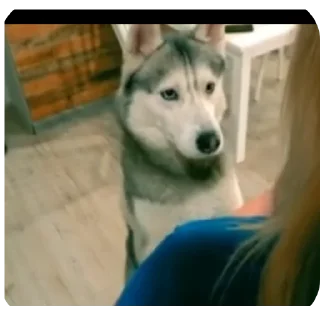 👍