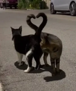 ❤️