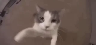 😘