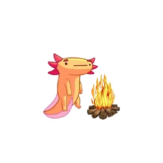 💥