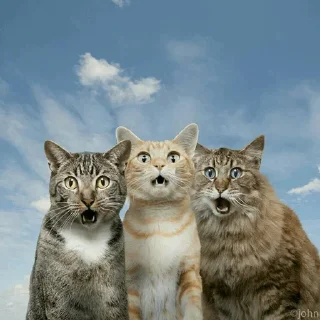 😙