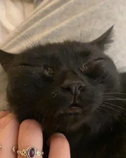 😴