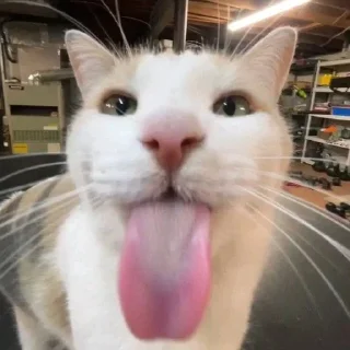 😜