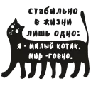 🐱