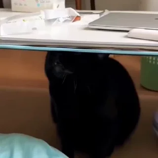 🤩