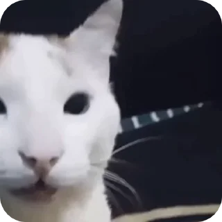 😁