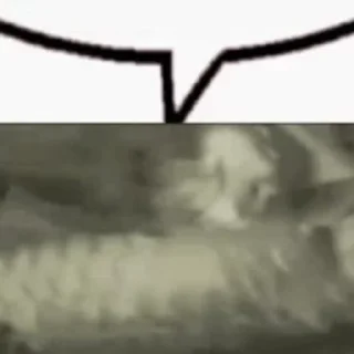 💬