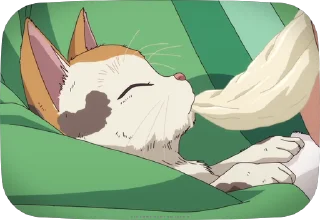 🐱