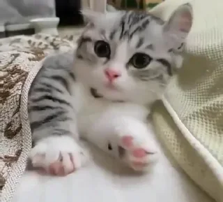 😙