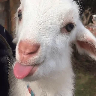 😛