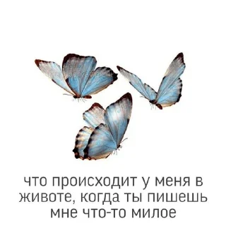 🦋
