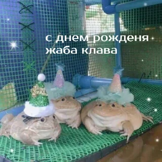 🎊