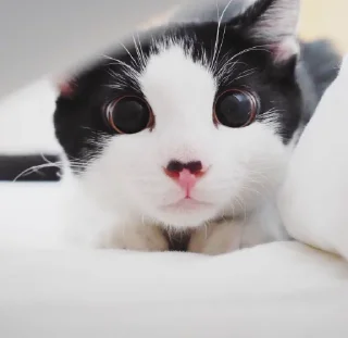 😍