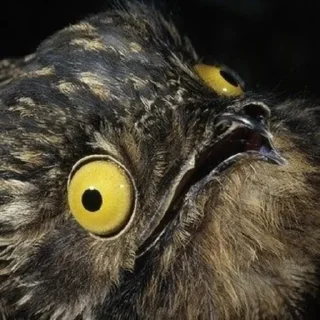😏