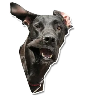 😜