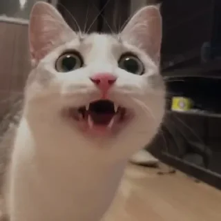 🤬