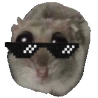 😎