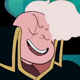✨