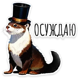 🦦