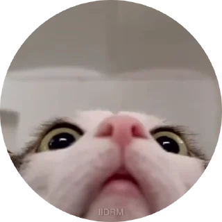 😳