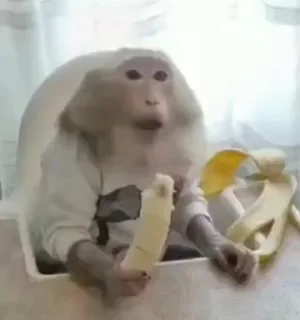 🤩