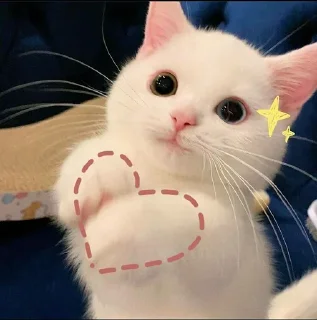 ❤