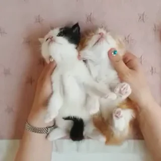 ❤️
